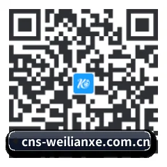 Apple 移动终端版 二维码